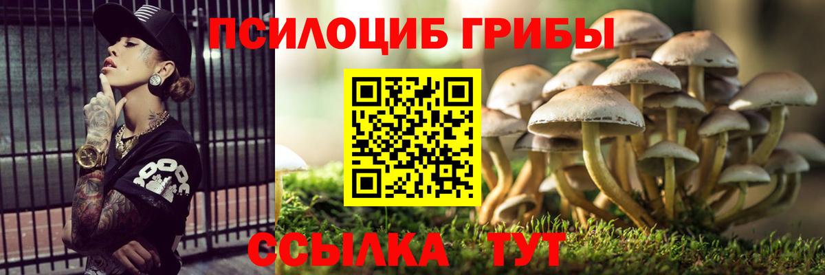 Псилоцибиновые грибы Magic Shrooms  Галлюциногенные грибы ЛСД  Лобня  наркотики  Вход с VPN 